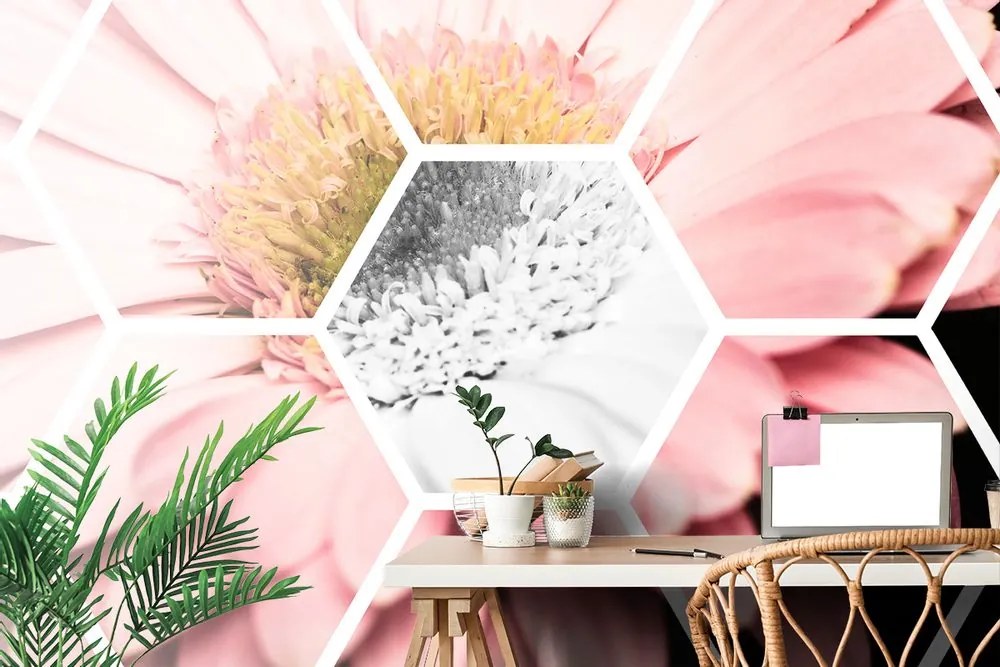 Tapet gerbera într-un hexagon