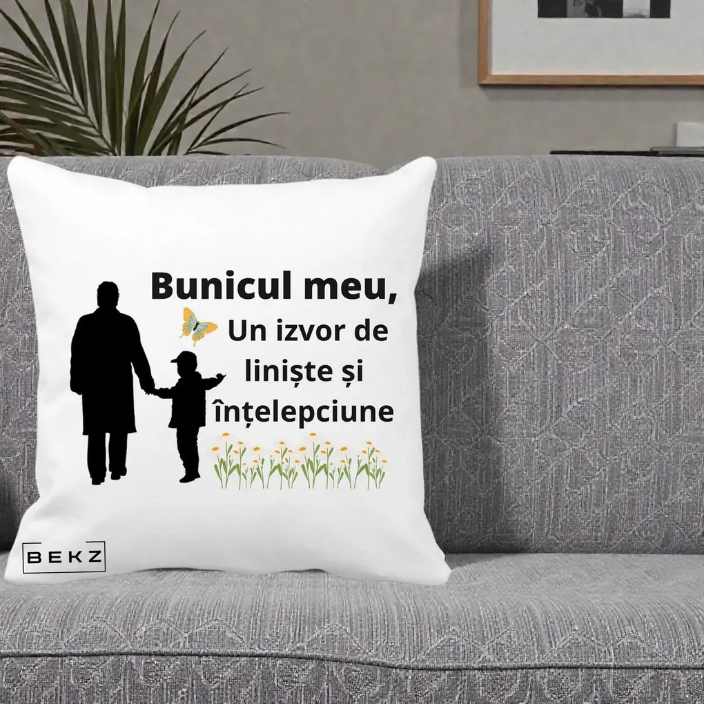Cadou pentru Bunic - Perna Personalizata Bunicul Meu Izvor de Liniste cu Fluture si Baietel, 40x40 cm, Alba Mata, Husa Detasabila, Perna Inclusa, BEKZ®