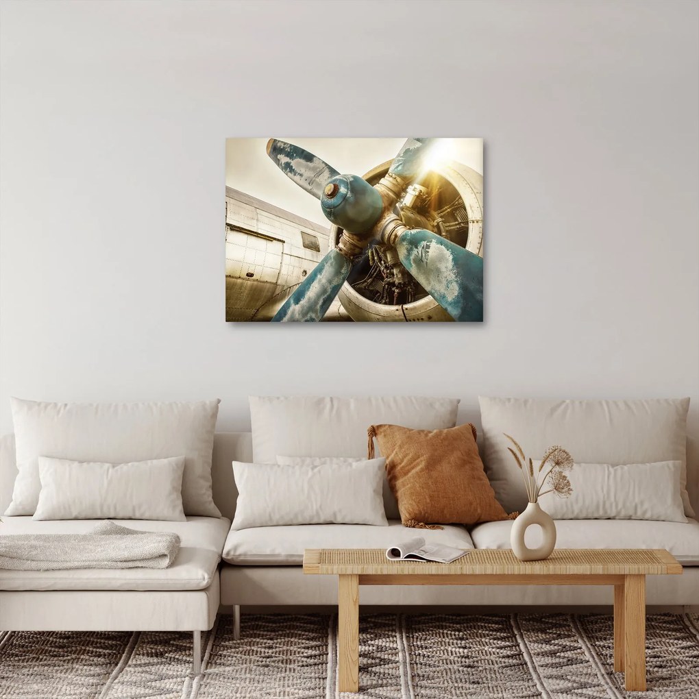 Tablou - Elice de avion vechi (70x50 cm)