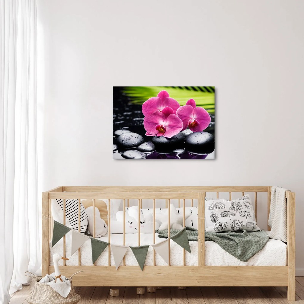 Tablou - Orhidee roz cu frunze de palmier (70x50 cm)