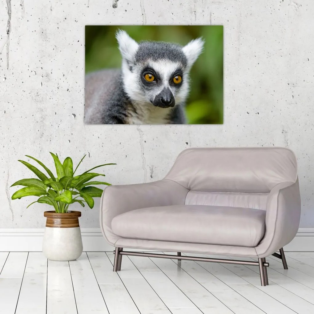 Tablou pe sticlă cu lemur (70x50 cm)