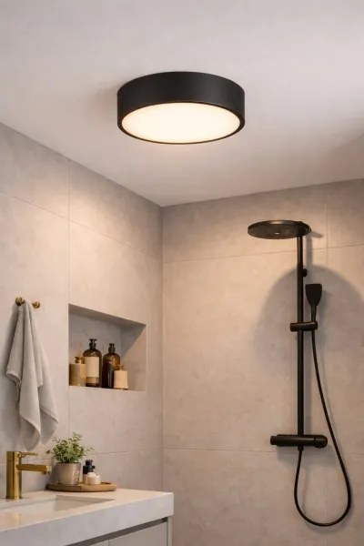 Brilagi - Plafonieră pentru baie POOL 2xE27/15W/230V Ø 30 cm IP54 negru