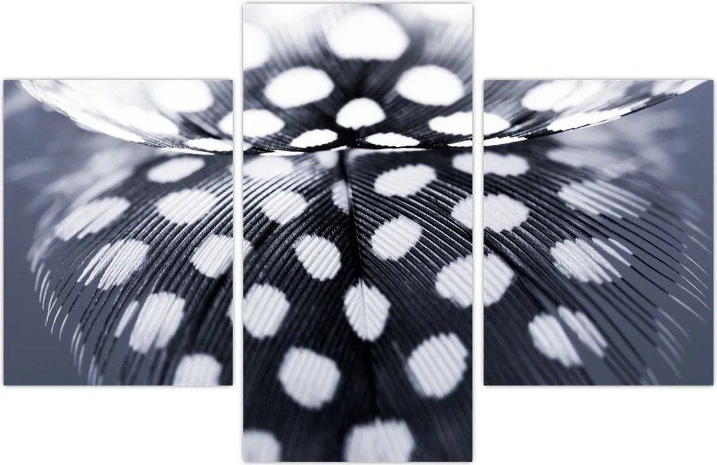 Tablou - Pană (90x60 cm)