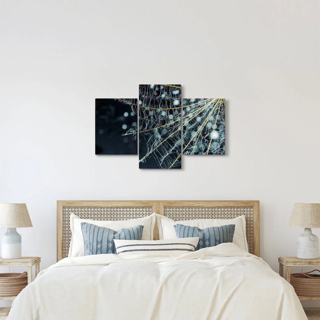 Tablou - Floare cu pânză de pâianjen (90x60 cm)