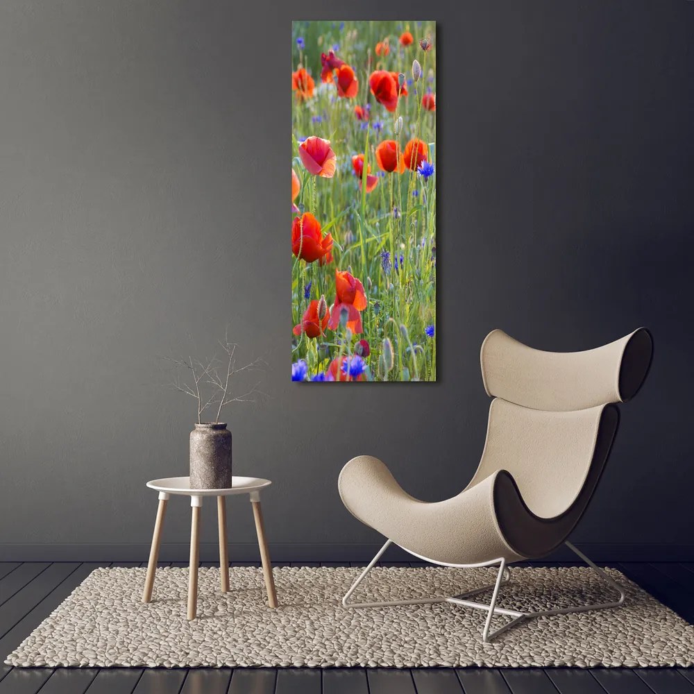 Tablou pe pânză Wildflowers maci