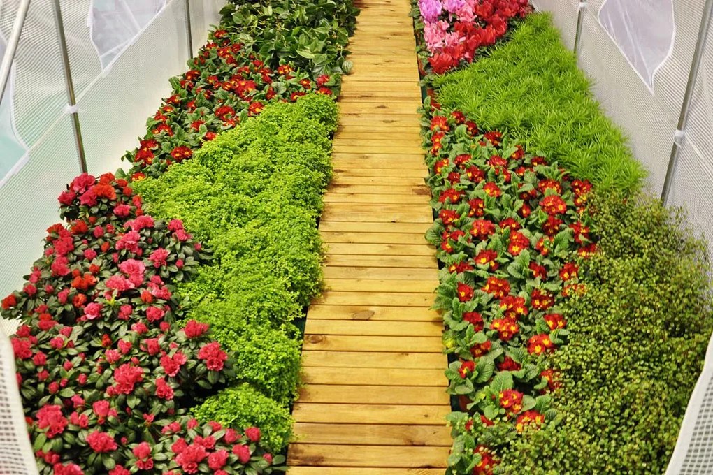 Solariu 200 x 300 cm (6 m2) - verde