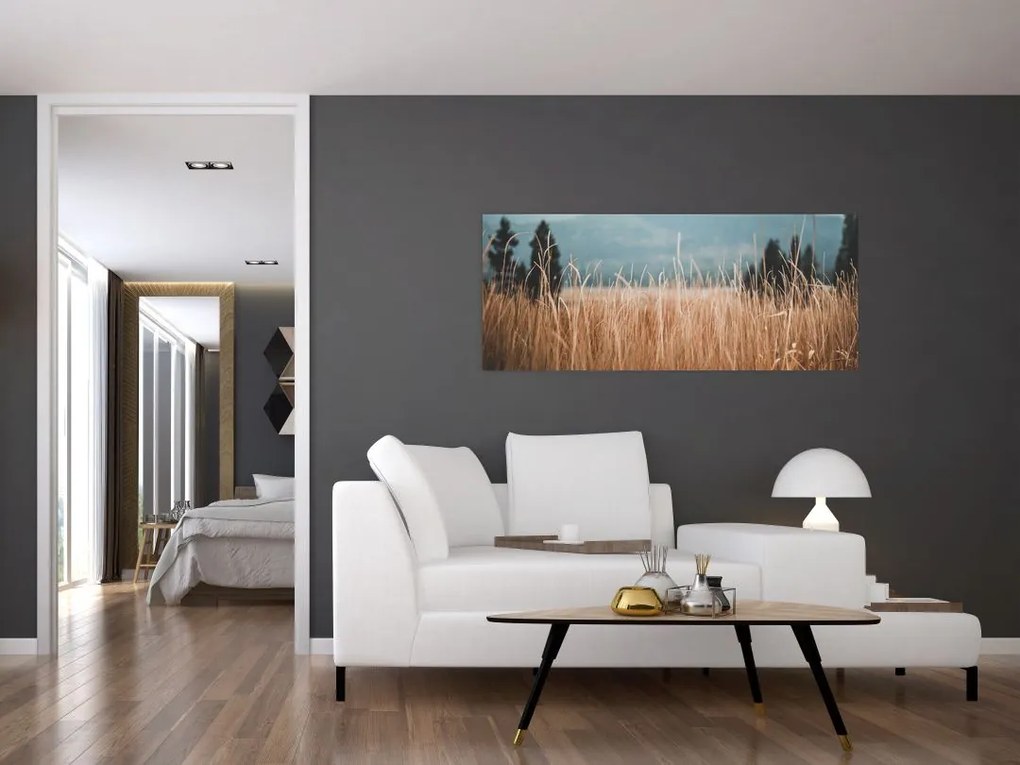 Tablou - detaliu spațiului de luncă (120x50 cm)