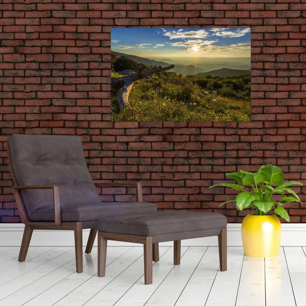 Tablou - Priveliștea (90x60 cm)