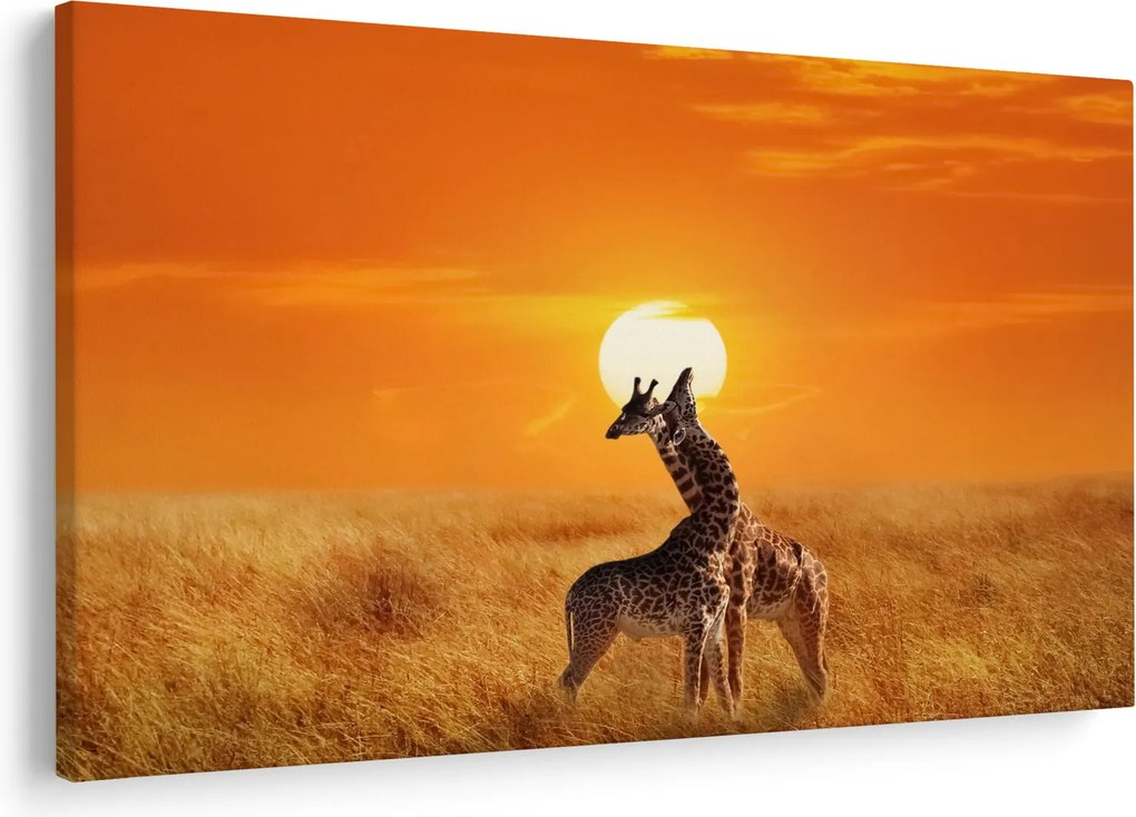 Tablou - Girafe în Parcul Național Serengeti (90x60 cm)