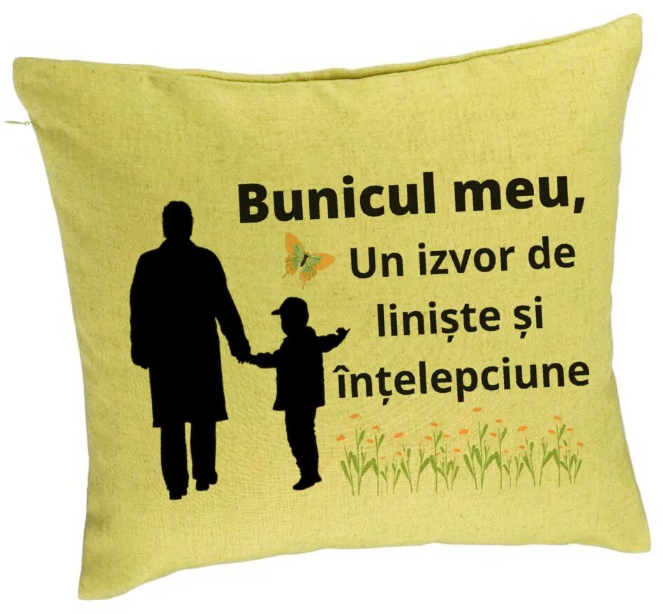 Perna Decorativa pentru Bunicul 6, 40x40 cm, Verde, Husa Detasabila, Burduf