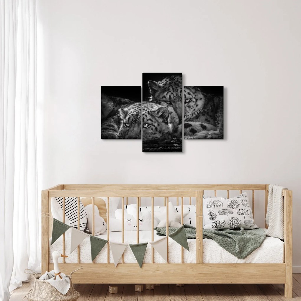 Tablou - Gheparzi care se odihnesc (90x60 cm)