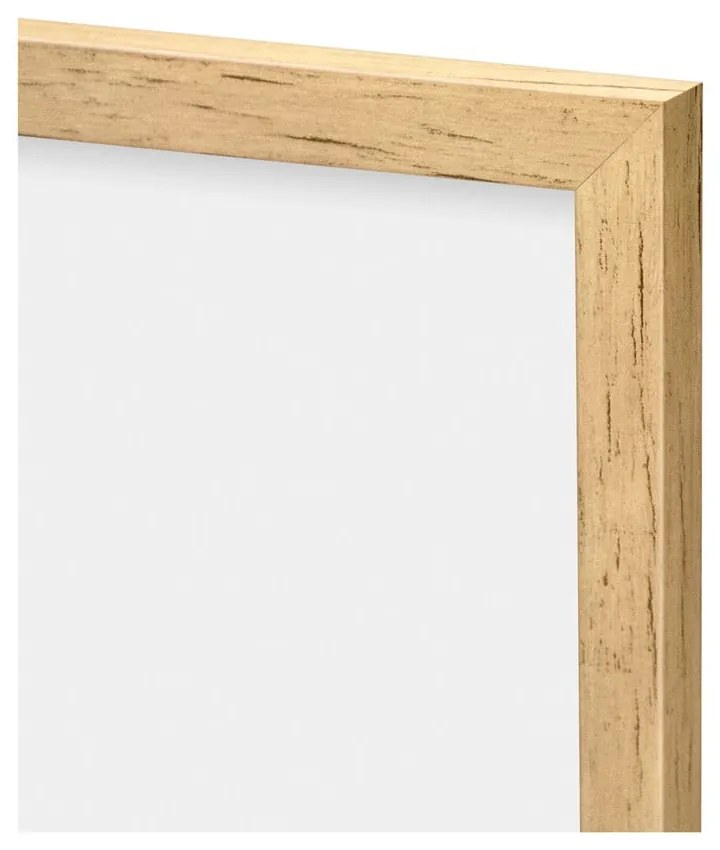 Tablou 30x40 cm Grass – knor