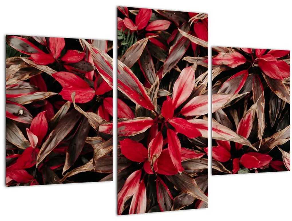 Tablou - Petale roșii (90x60 cm)