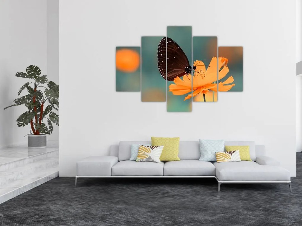 Tablou - fluture pe o floare portocalie (150x105 cm)