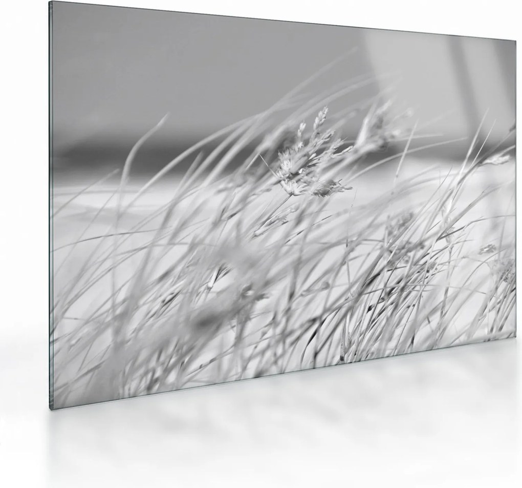 Tablou pe sticlă - Iarbă de plajă (70x50 cm)