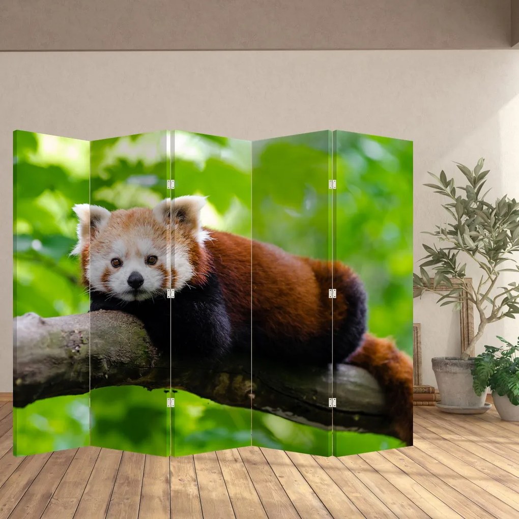 Paravan - Panda roșie (210x170 cm)