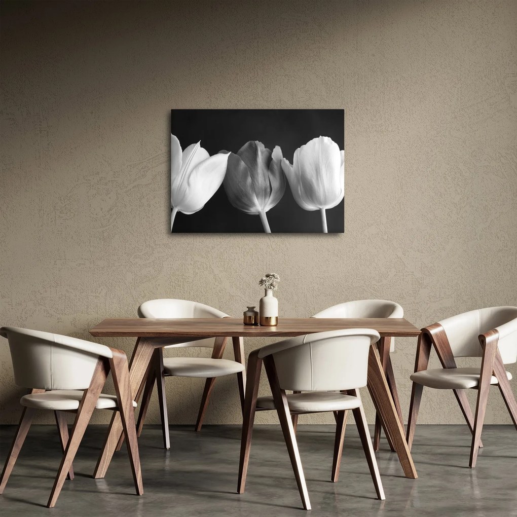 Tablou - Lalele alb negre (70x50 cm)