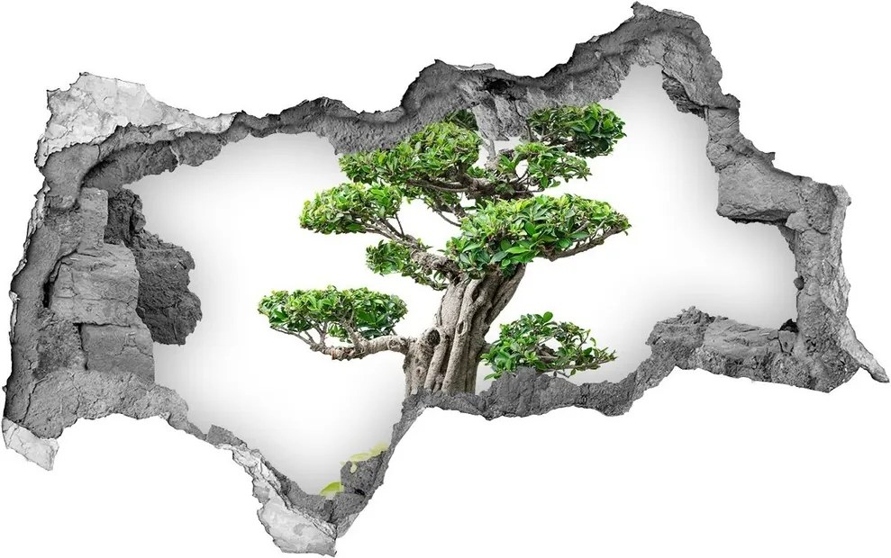 Autocolant gaură 3D Copac bonsai