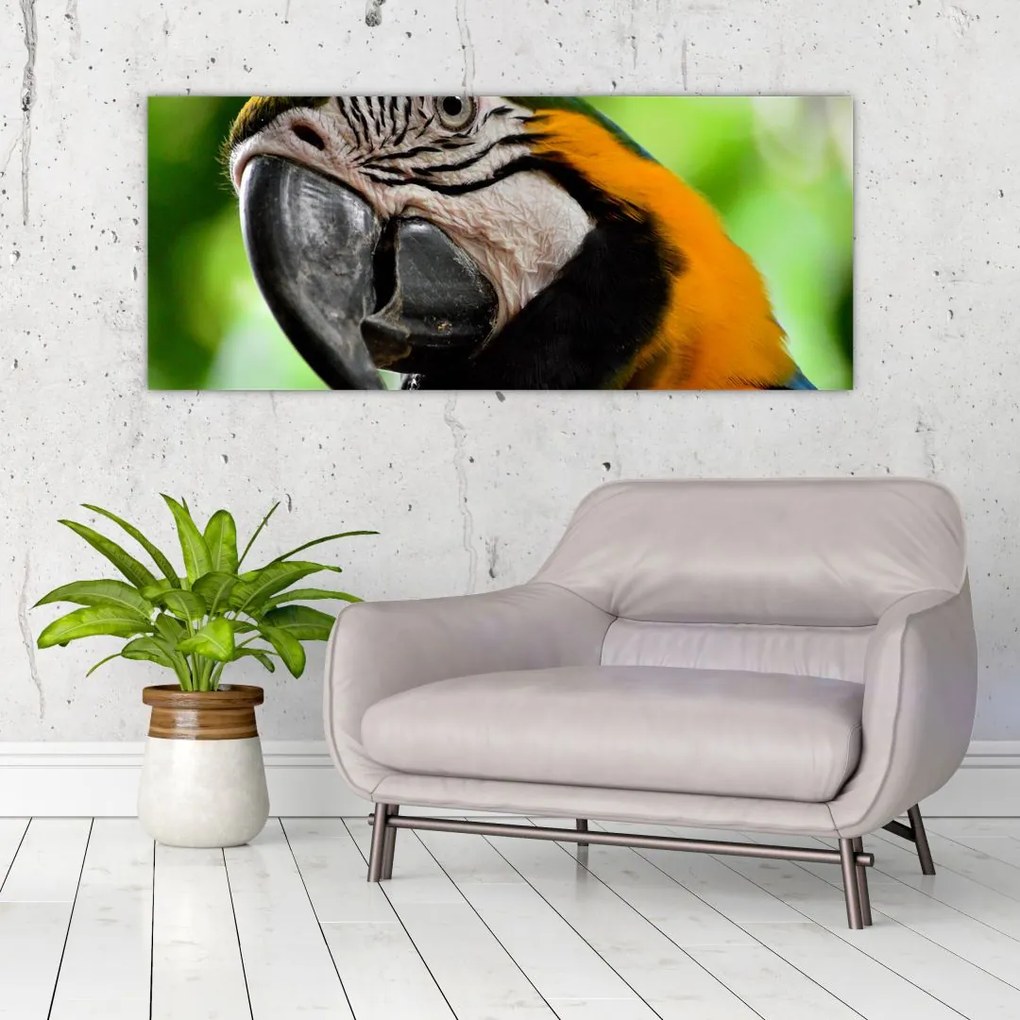 Tablou cu papagal (120x50 cm)