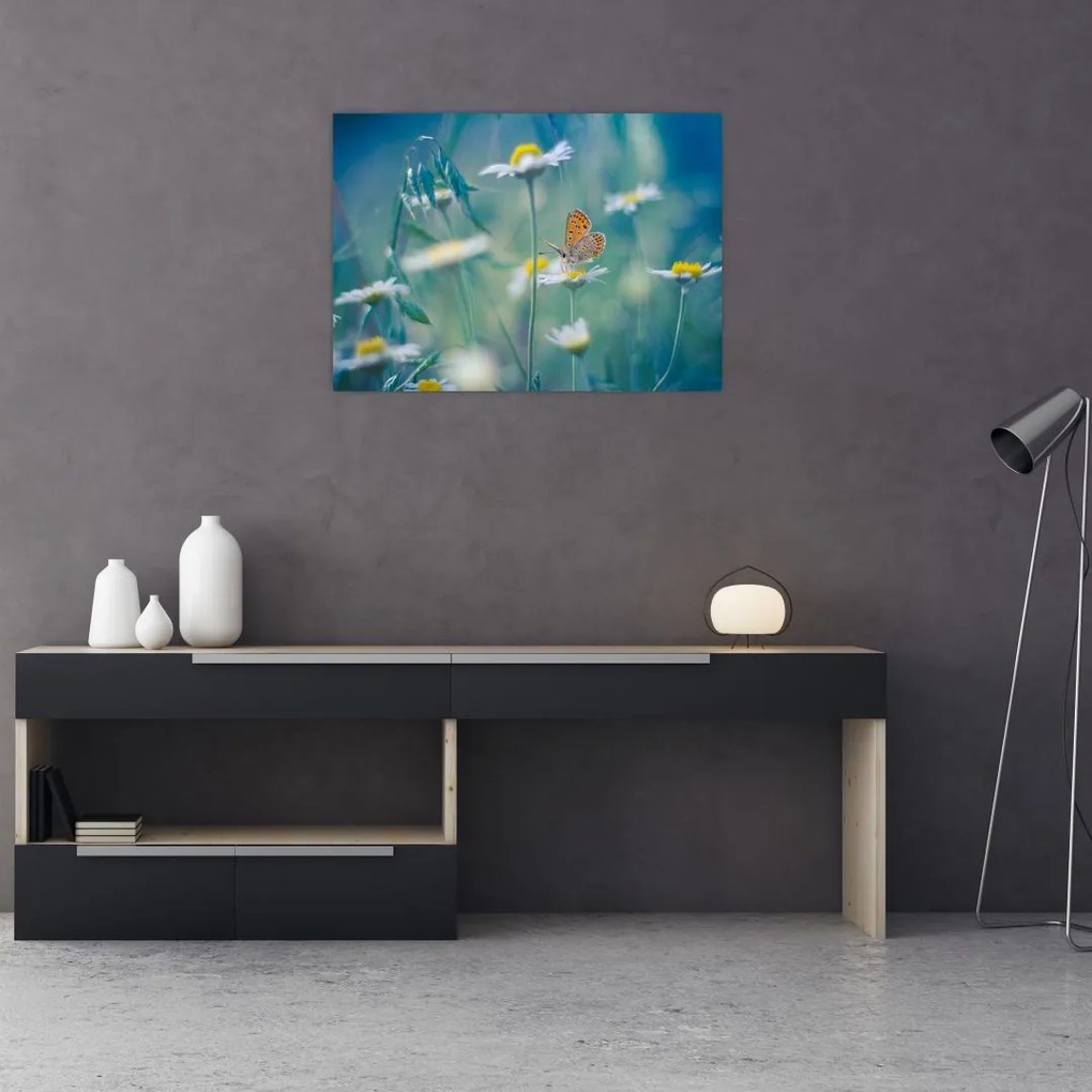 Tablou pe sticlă - Fluture pe margaretă (70x50 cm)