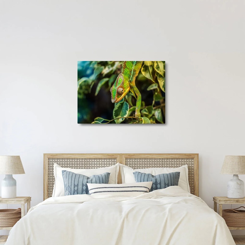 Tablou cu cameleon (70x50 cm)