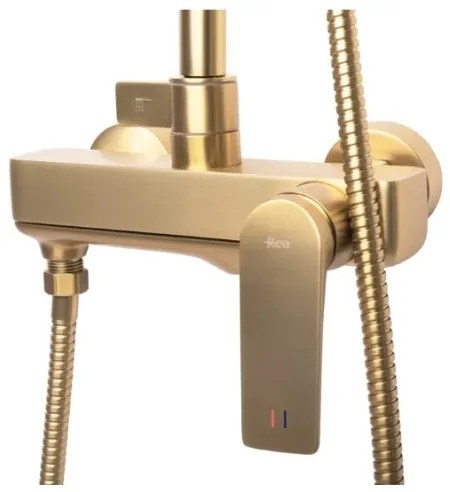 REA-P2400 - Set de duș AVALON cu baterie, finisaj auriu periat