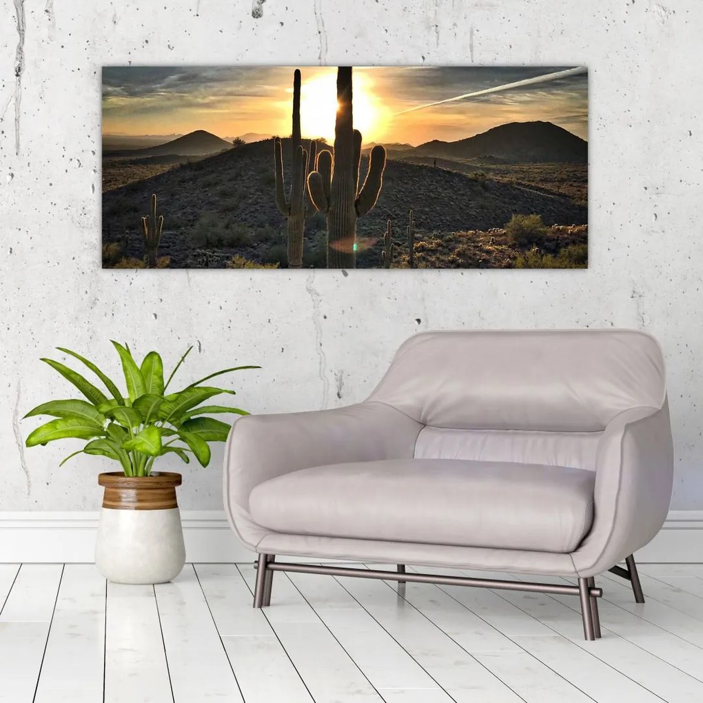 Tablou - cactușii la soare (120x50 cm)