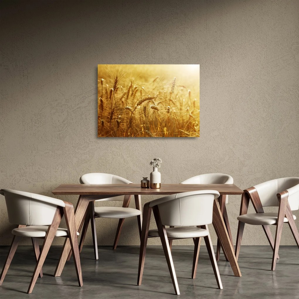 Tablou pe sticlă - Spice de cereale (70x50 cm)