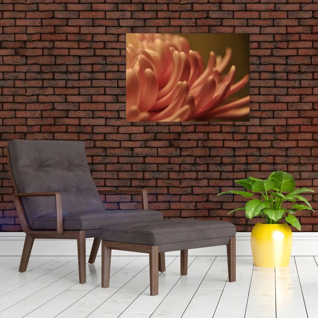 Tablou cu detailu florii (70x50 cm)