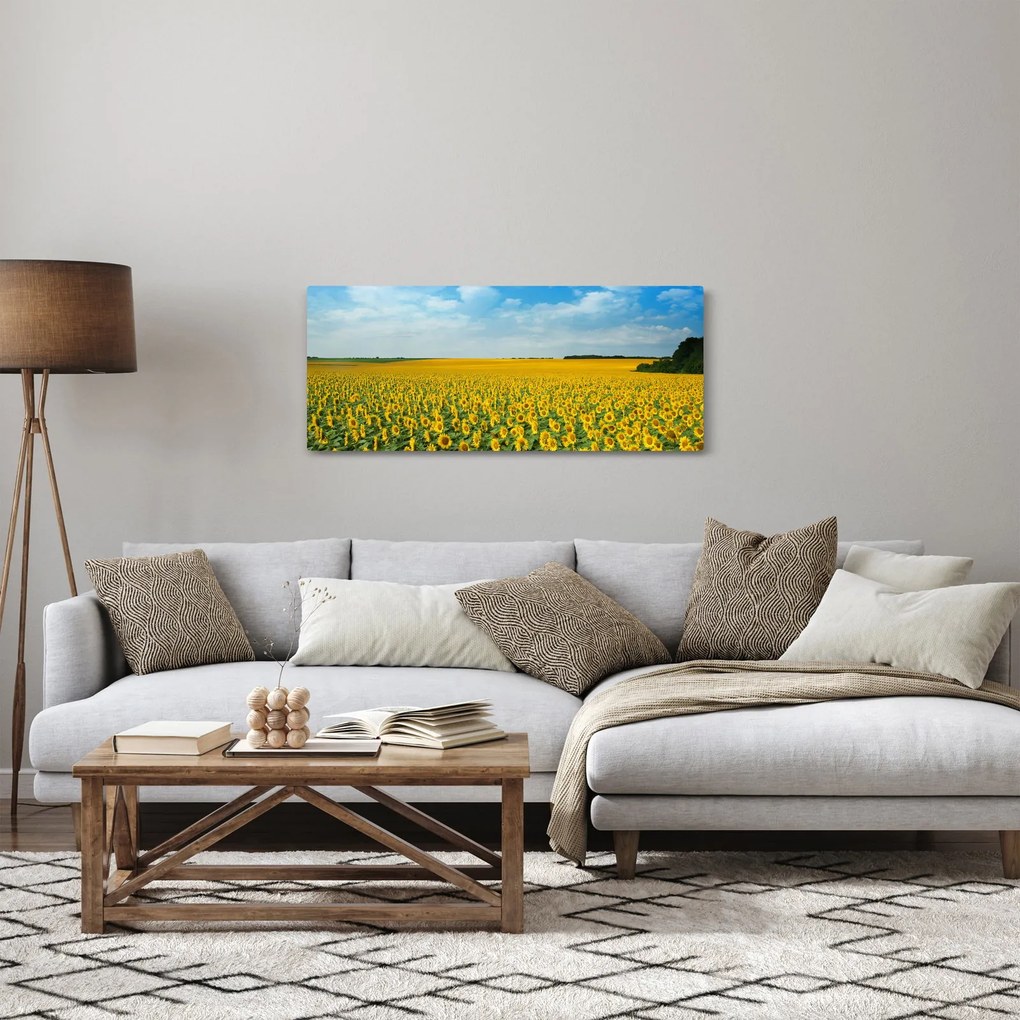 Tablou - câmp cu floarea soarelui (120x50 cm)