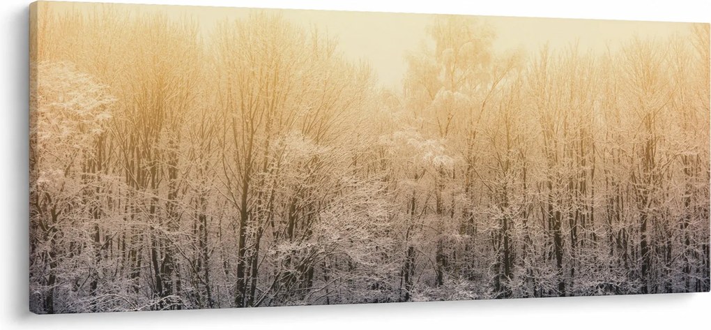 Tablou cu pădure geroasă (120x50 cm)