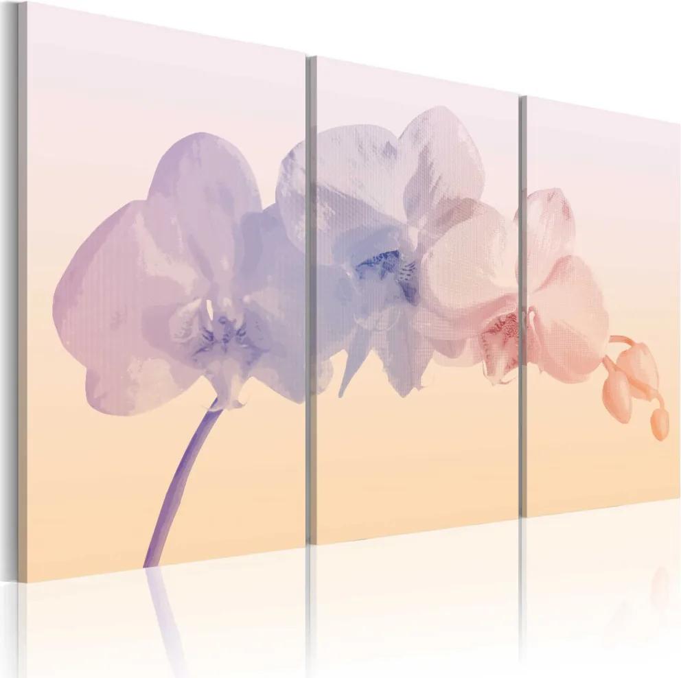 Tablou Bimago - Orchid spectrum 60x40 cm
