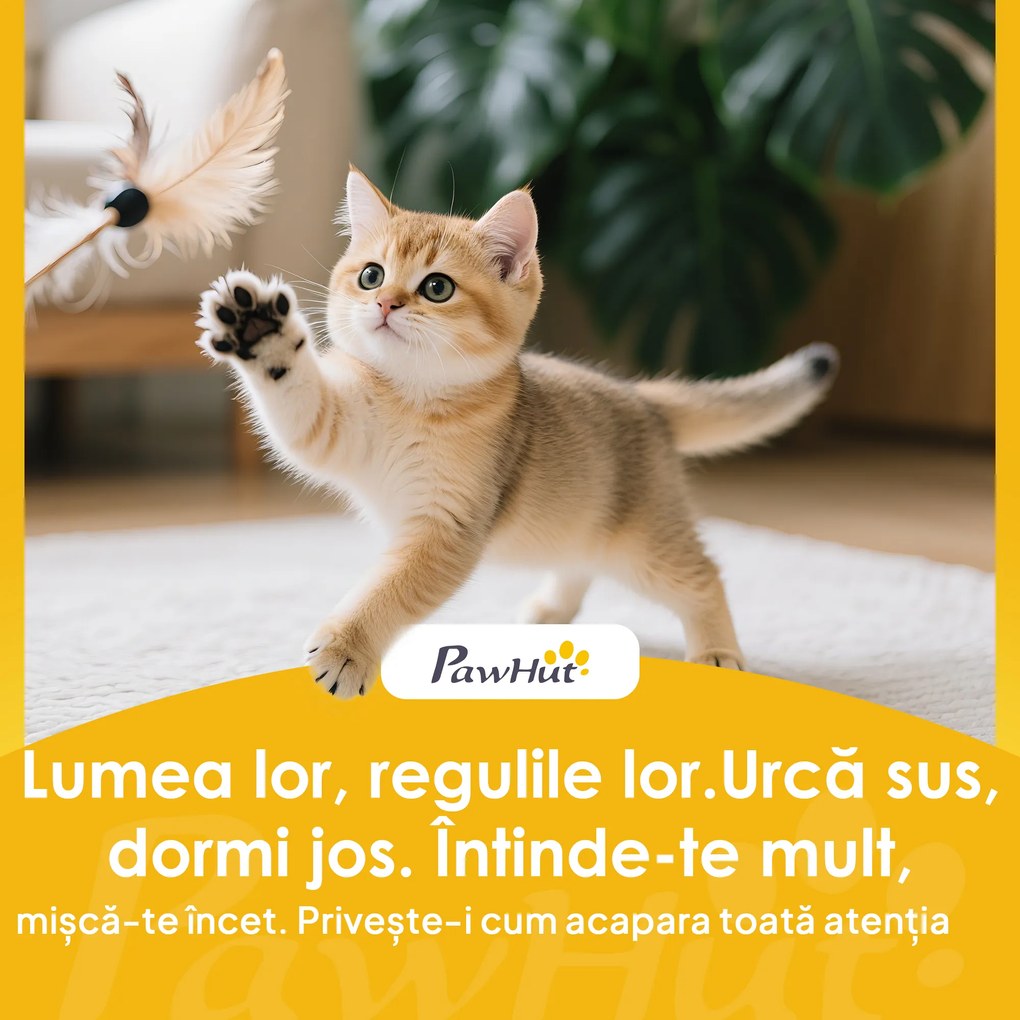 PawHut Arbore pentru Pisici cu Stinghie și Căsuță 48x48x192 cm Bej și Galben | Aosom Romania