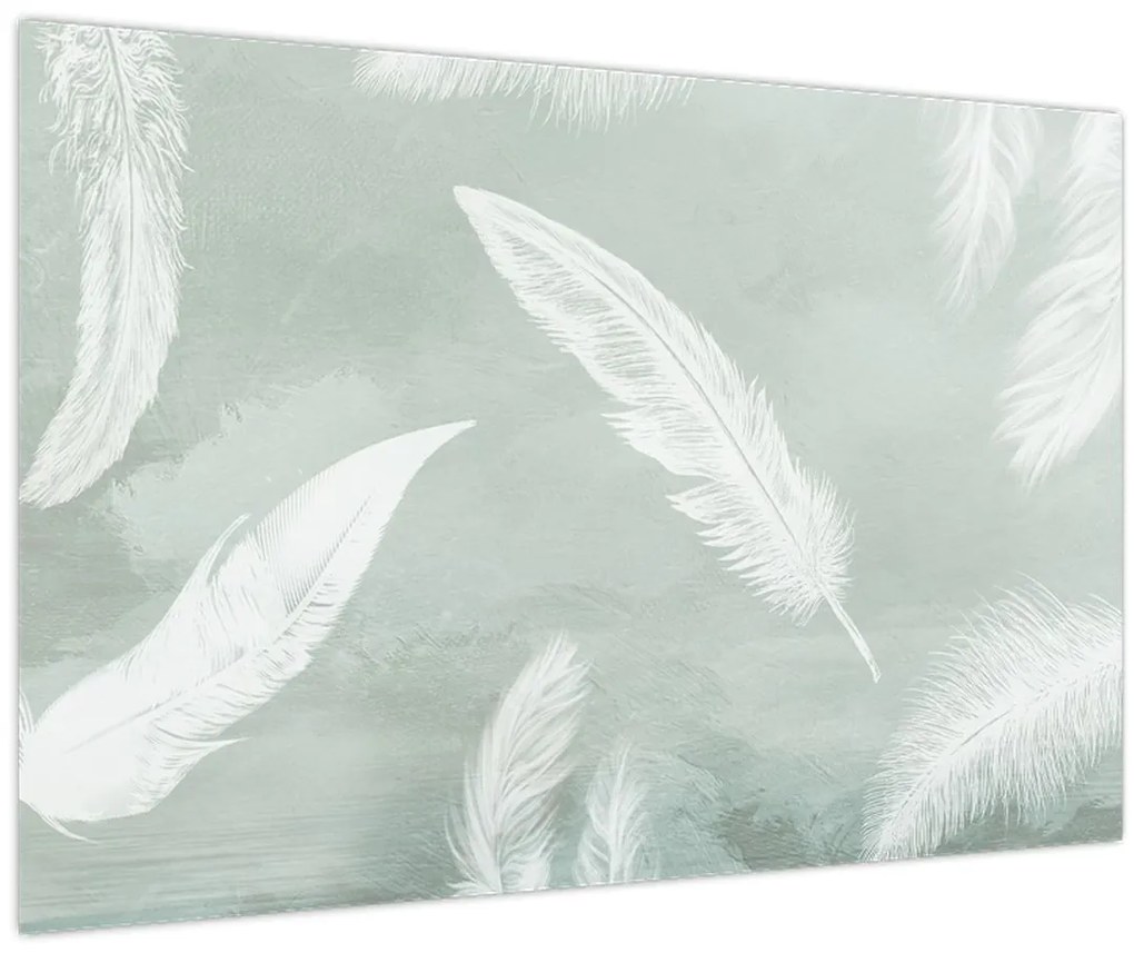 Tablou - Pene albe (90x60 cm)