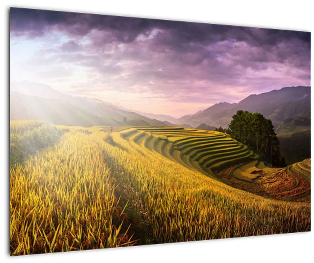 Tablou peisajului (90x60 cm)