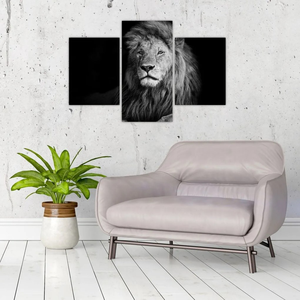 Tablou - Leu, alb și negru (90x60 cm)