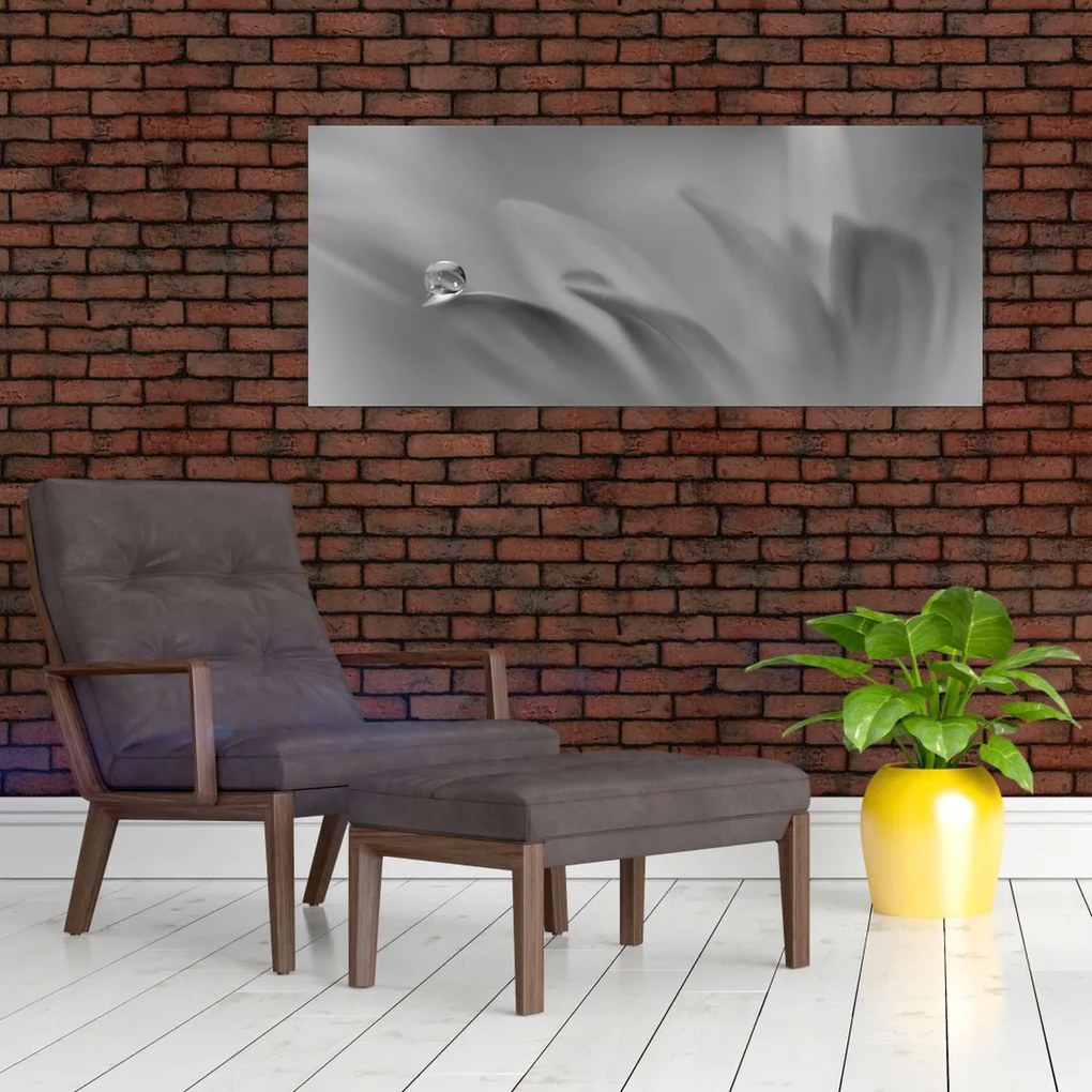 Tablou - Picătură pe floare,alb-negru (120x50 cm)