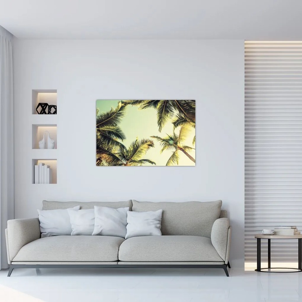 Tablou - Palmieri de cocos (90x60 cm)