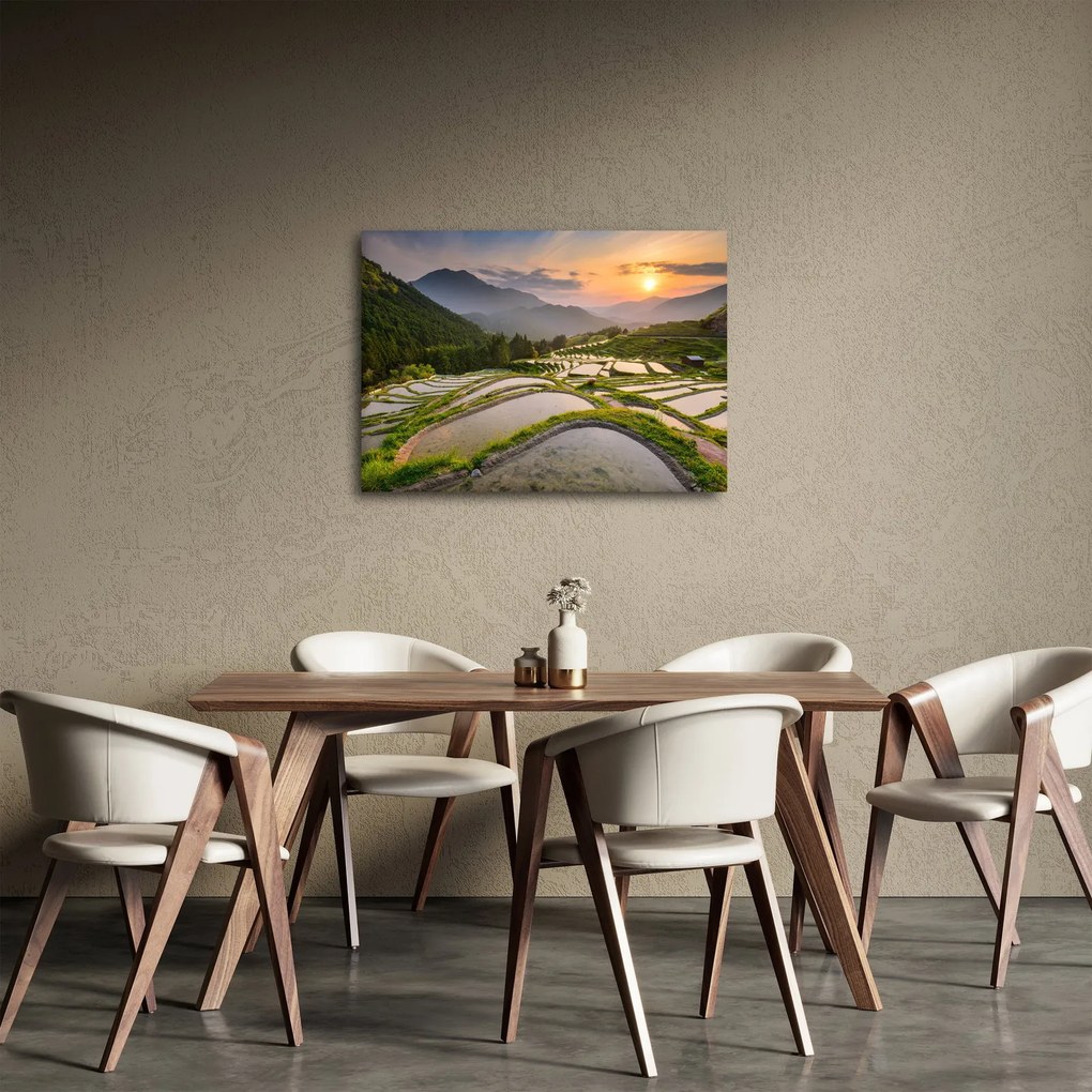 Tablou - Terase de orez (70x50 cm)