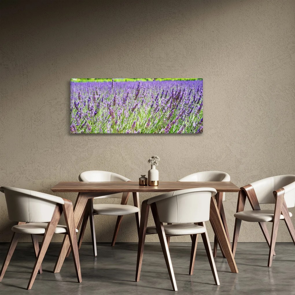 Tablou - Lavandă în câmp (120x50 cm)
