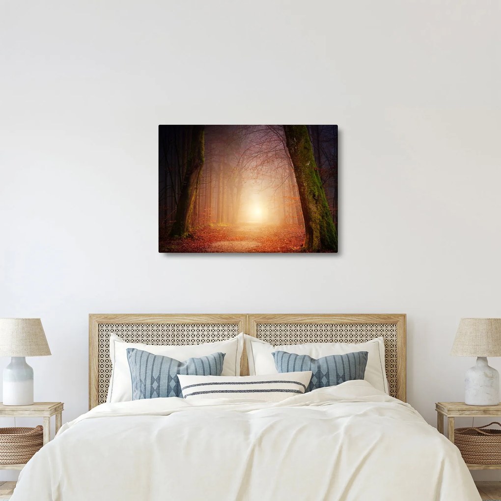Tablou cu pădurea toamna în ceață (70x50 cm)
