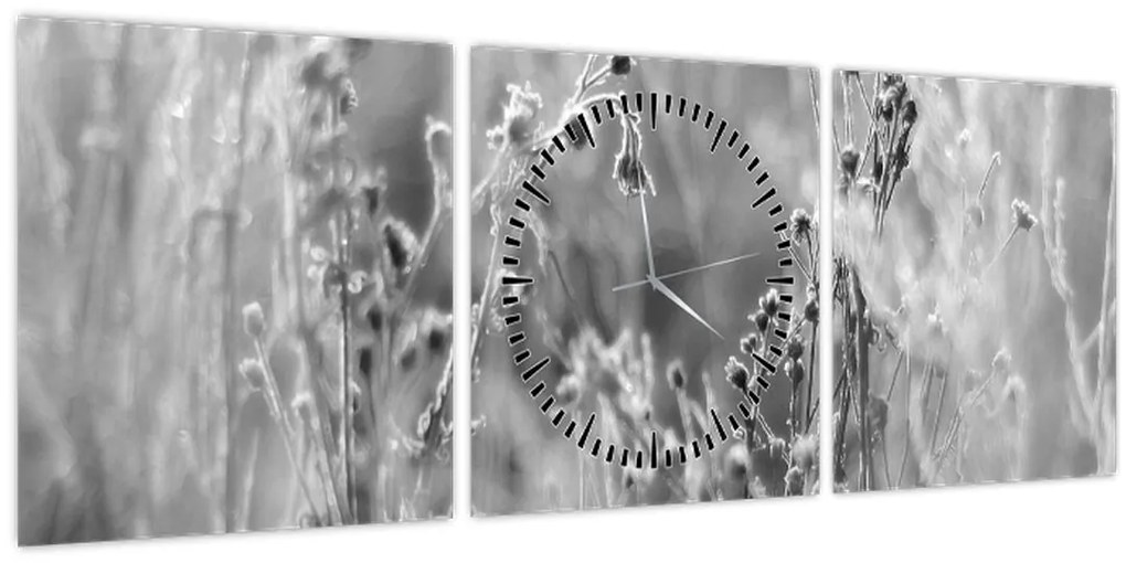 Tablou - Pajiște sălbatică (cu ceas) (90x30 cm)
