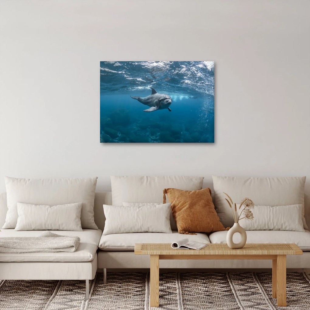 Tablou - Delfin sub apă (70x50 cm)