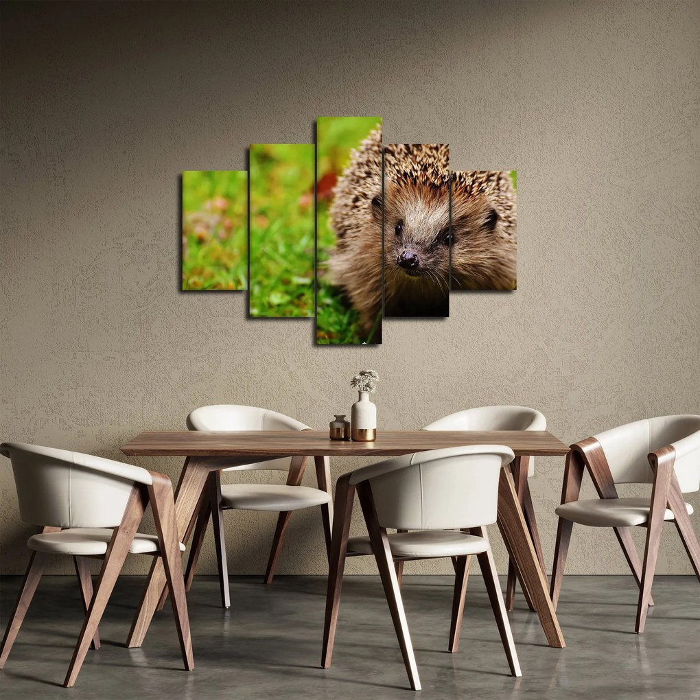 Tablou cu arici (150x105 cm)