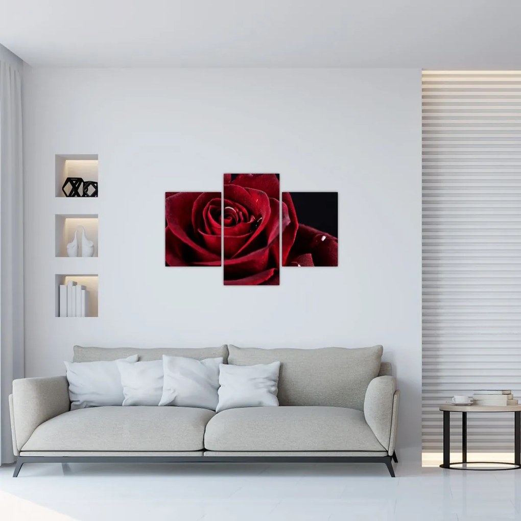 Tablou - Trandafir roșu (90x60 cm)