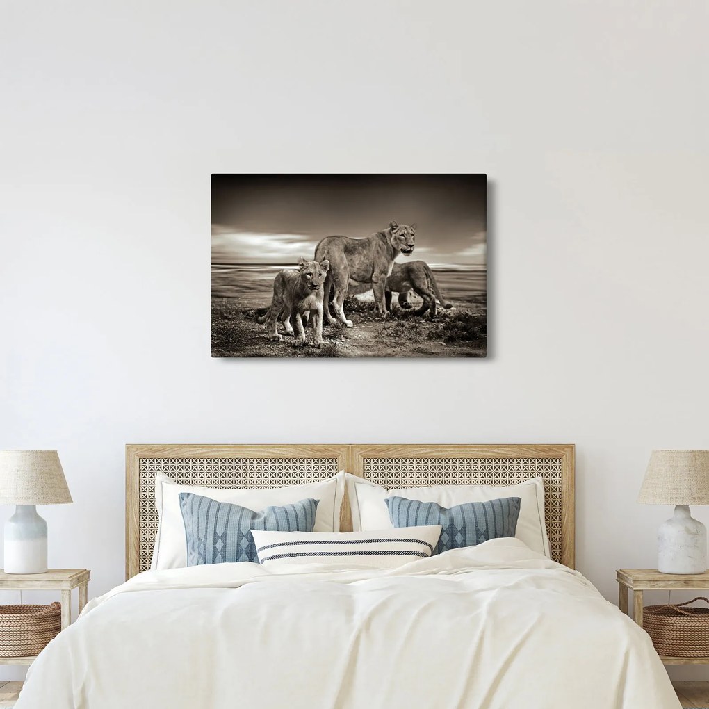 Tablou cu leii alb negri (90x60 cm)