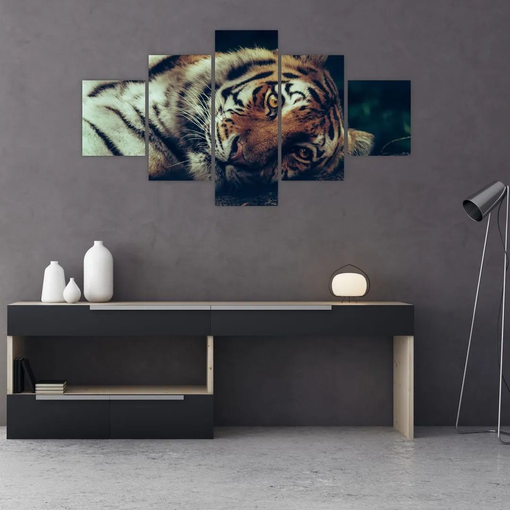 Tablou - Tigrul Siberian (125x70 cm), în 40 de alte dimensiuni noi