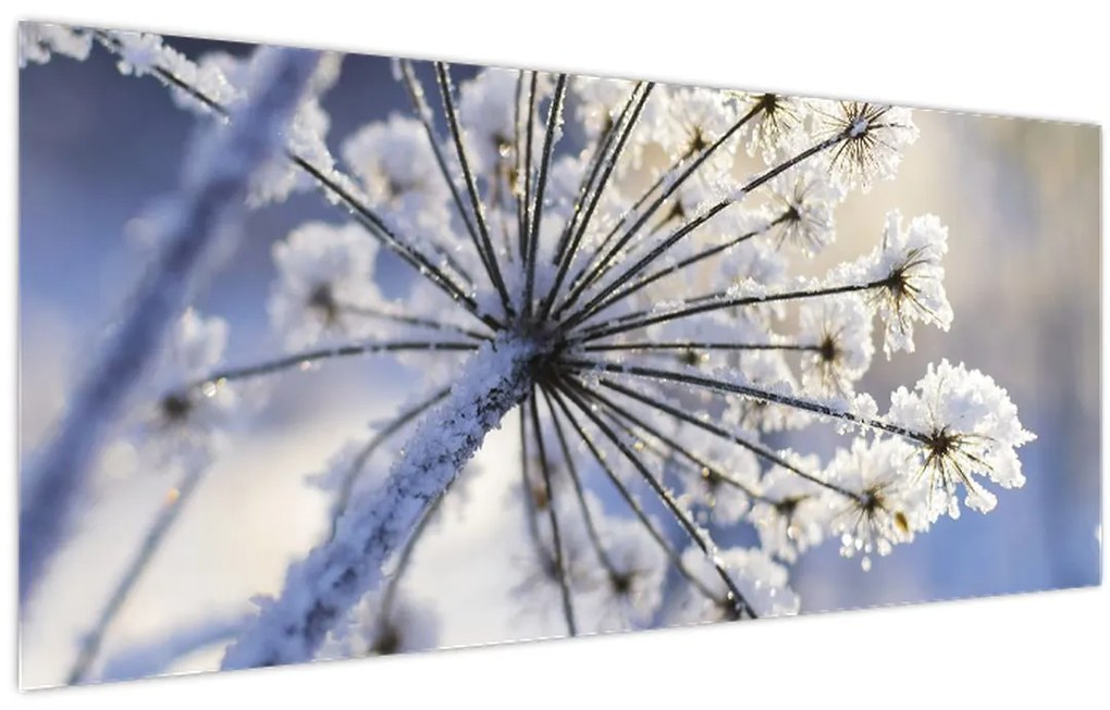 Tablou - Flori înghețate (120x50 cm)