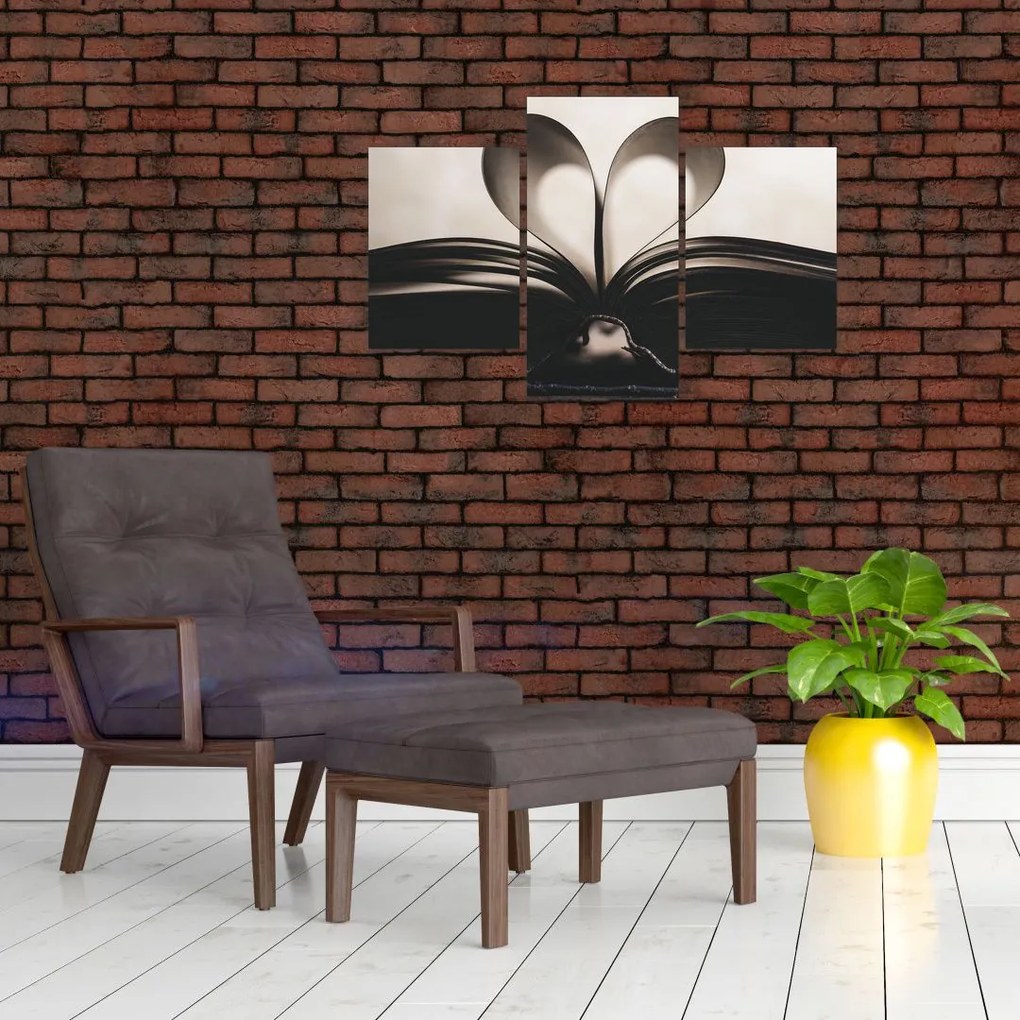 Tablou cu carte (90x60 cm)