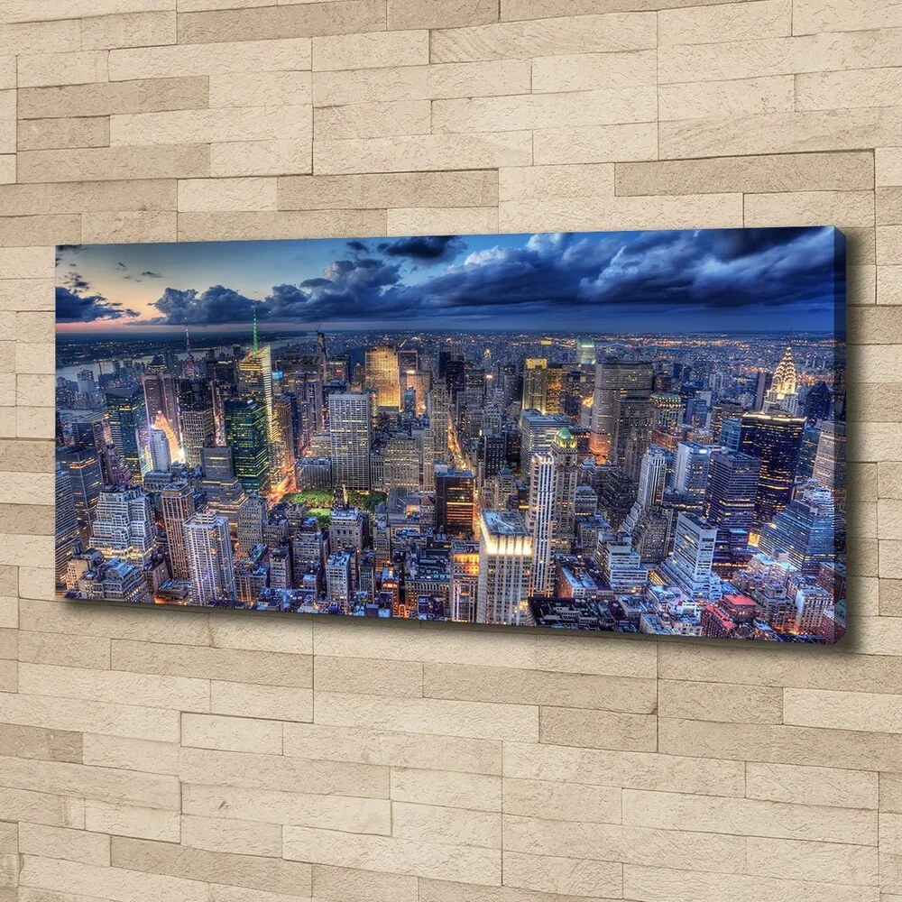 Imprimare tablou canvas New york pasăre de zbor